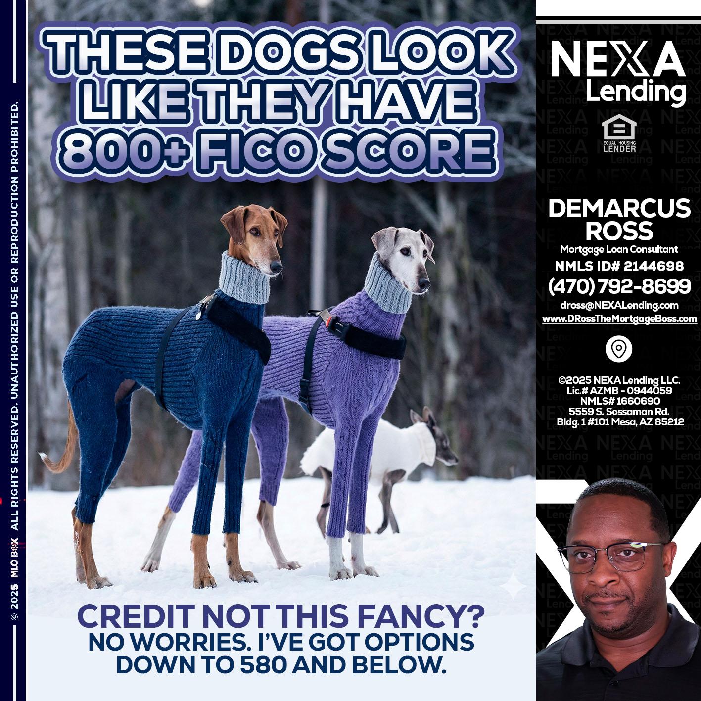 THESE DOGS LOOK - DeMarcus Ross -Dross the Mortgage Boss